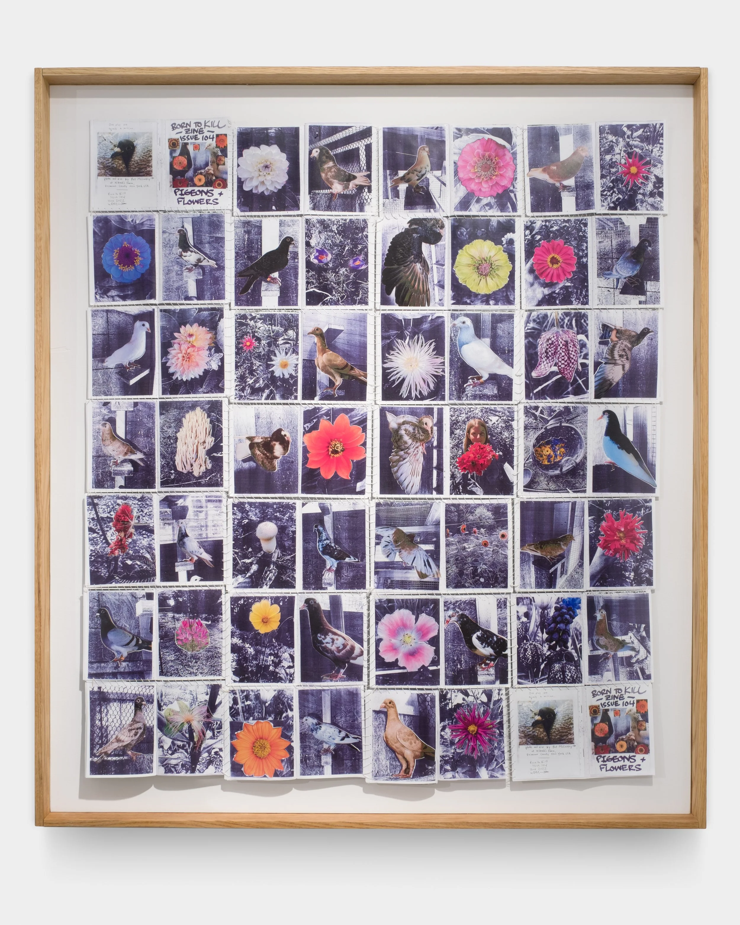 Born to Kill | Pat McCarthy — Musée Magazine